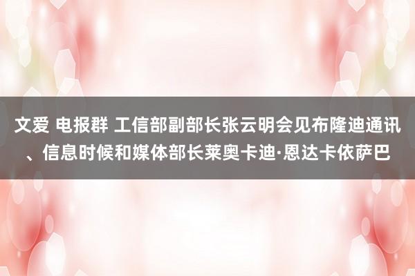 文爱 电报群 工信部副部长张云明会见布隆迪通讯、信息时候和媒体部长莱奥卡迪·恩达卡依萨巴