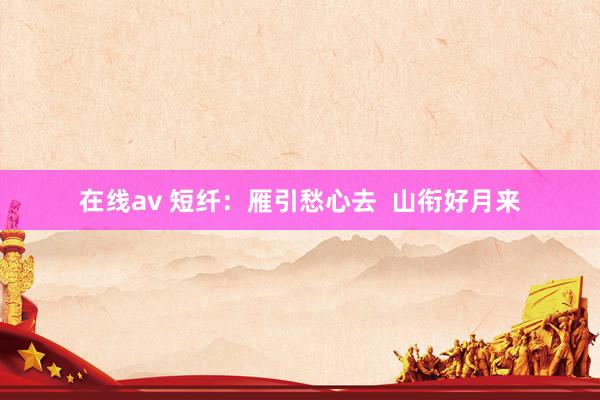 在线av 短纤：雁引愁心去  山衔好月来