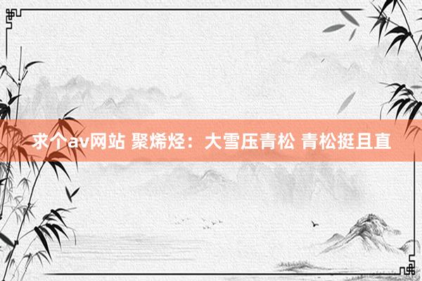 求个av网站 聚烯烃：大雪压青松 青松挺且直