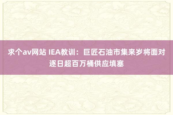 求个av网站 IEA教训：巨匠石油市集来岁将面对逐日超百万桶供应填塞
