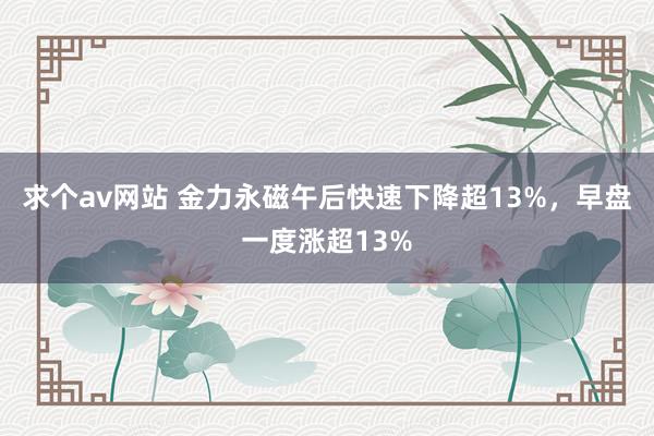 求个av网站 金力永磁午后快速下降超13%，早盘一度涨超13%